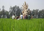 মণ্ডপের পথে দেবী, কুলপিতে। ছবি: দিলীপ নস্কর